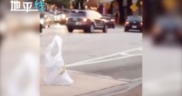 塑料袋走着过马路