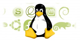 linux ls -l 权限信息详解