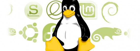 linux ls -l 权限信息详解